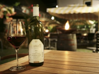 照片: Restaurant &amp;amp; Vinothek im Hofgut